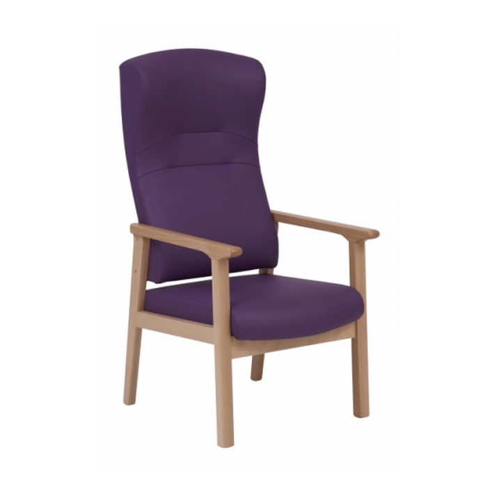 Dalton Containment Back Armchair with Handgrips