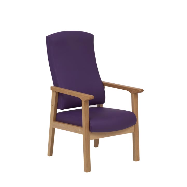 Dalton Petite Armchair with Handgrips