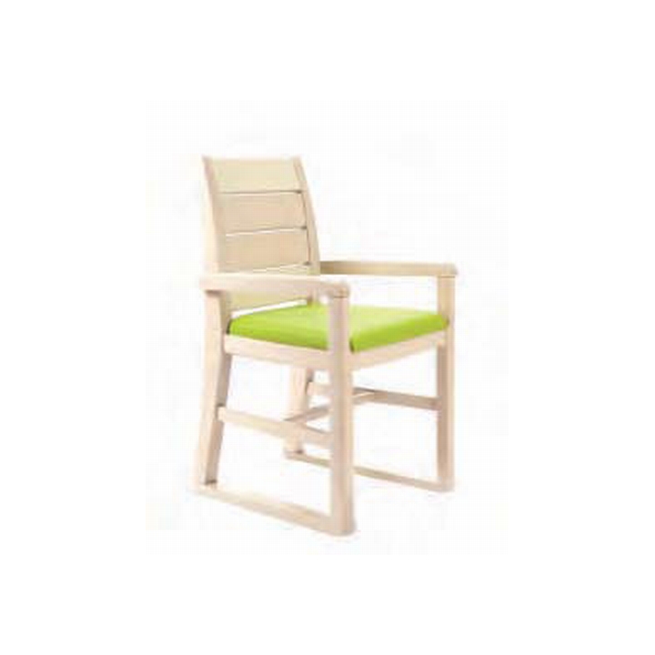 Ascot Armchair with Skids
